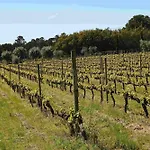 Quinta Da Fata Farm stay *