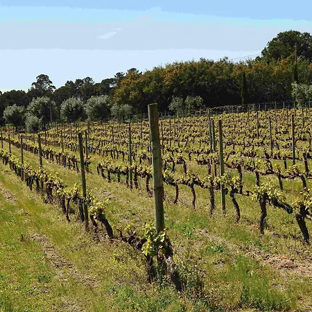 Quinta Da Fata Farma *