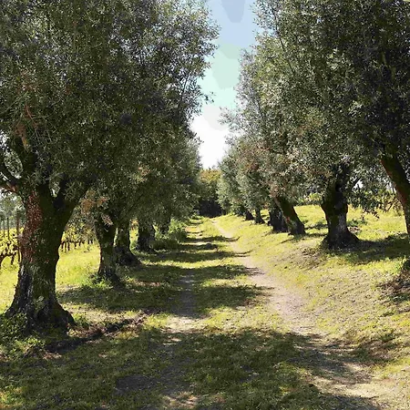 Quinta Da Fata *