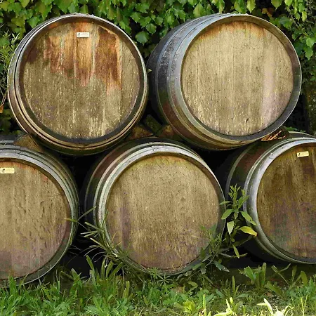 Quinta Da Fata Farma *