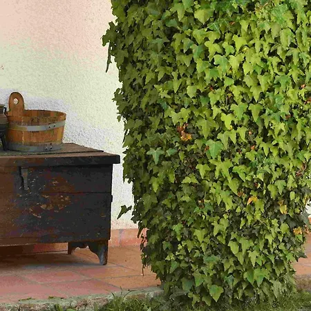 Quinta Da Fata Nelas