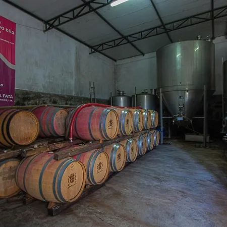 Alojamento de Turismo Rural Quinta Da Fata Nelas