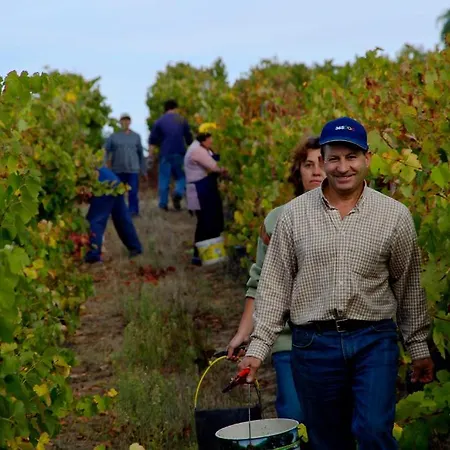 Κατάλυμα σε φάρμα Quinta Da Fata Nelas