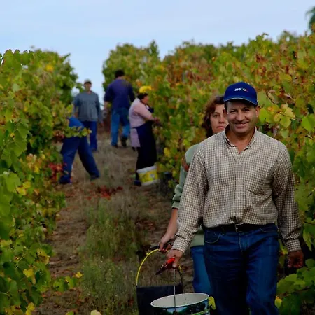 Alojamento de Turismo Rural Quinta Da Fata Nelas
