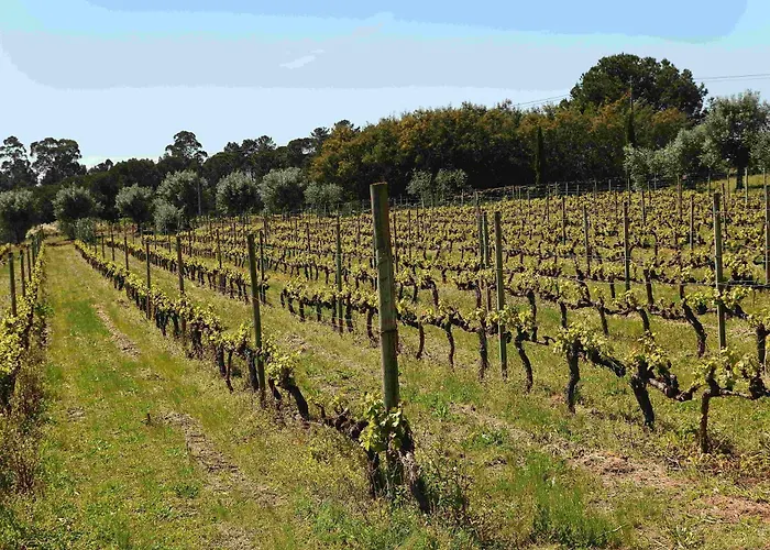 Quinta Da Fata Lantgård *