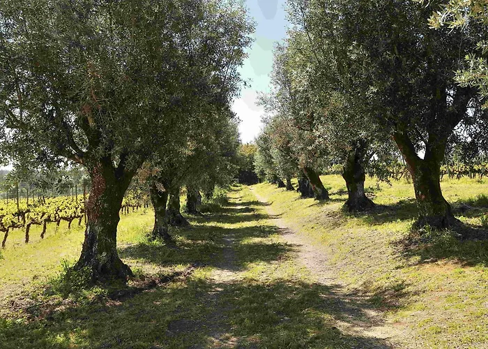 Quinta Da Fata *