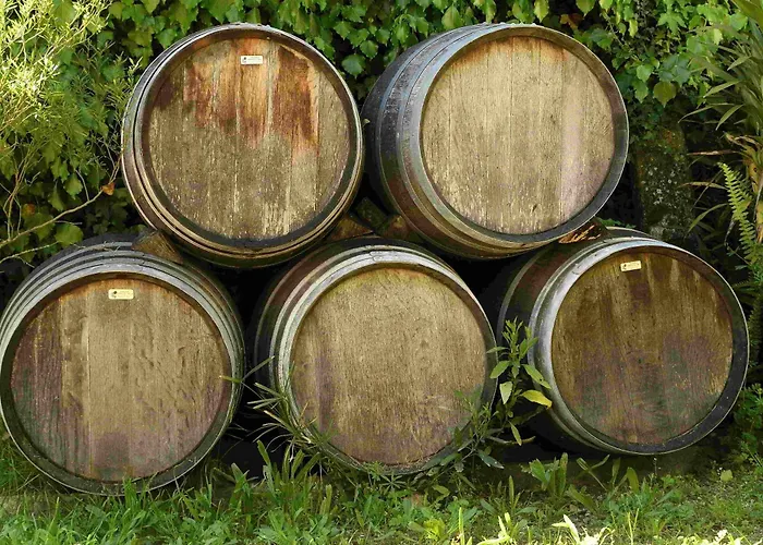 Quinta Da Fata Alojamento de Turismo Rural *