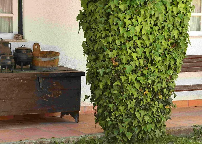 Quinta Da Fata نيلاس