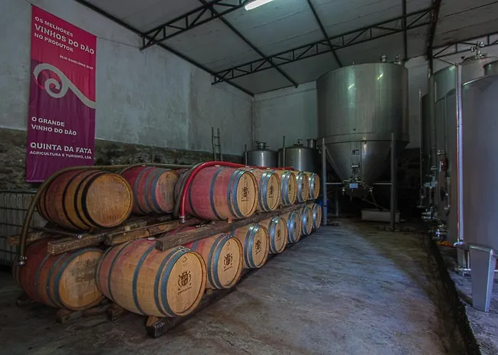 Alojamento de Turismo Rural Quinta Da Fata Nelas