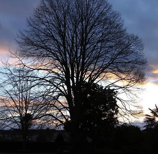 Quinta Da Fata مزرعة للإقامة نيلاس