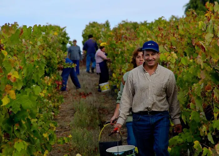 Alojamento de Turismo Rural Quinta Da Fata Nelas